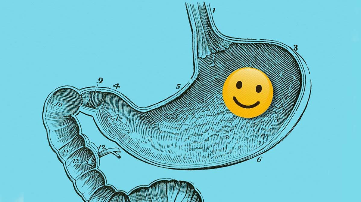 6 Foods That Are Good for Gut Health Consumer Reports